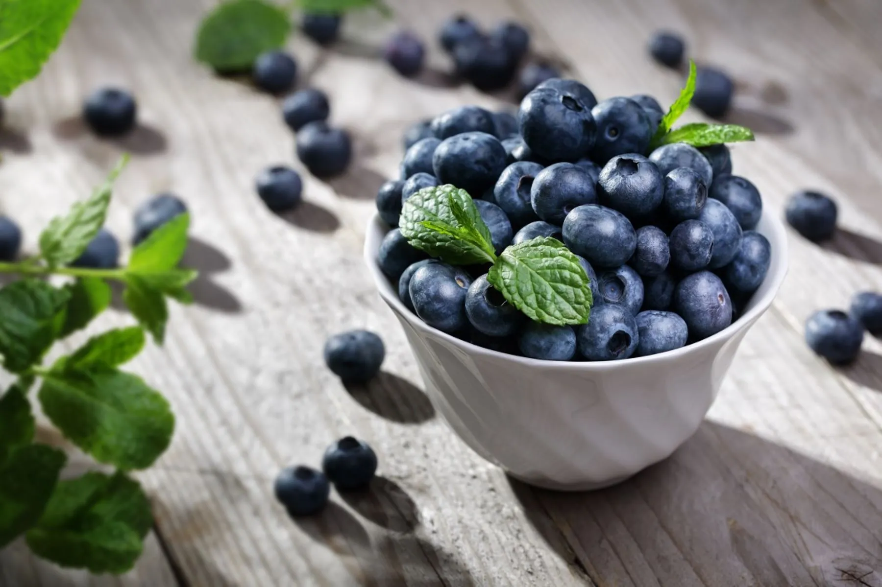 Bowl of fresh blueberries with mint leaves