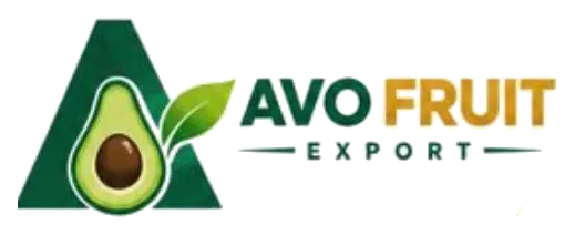Avo Fruit Export